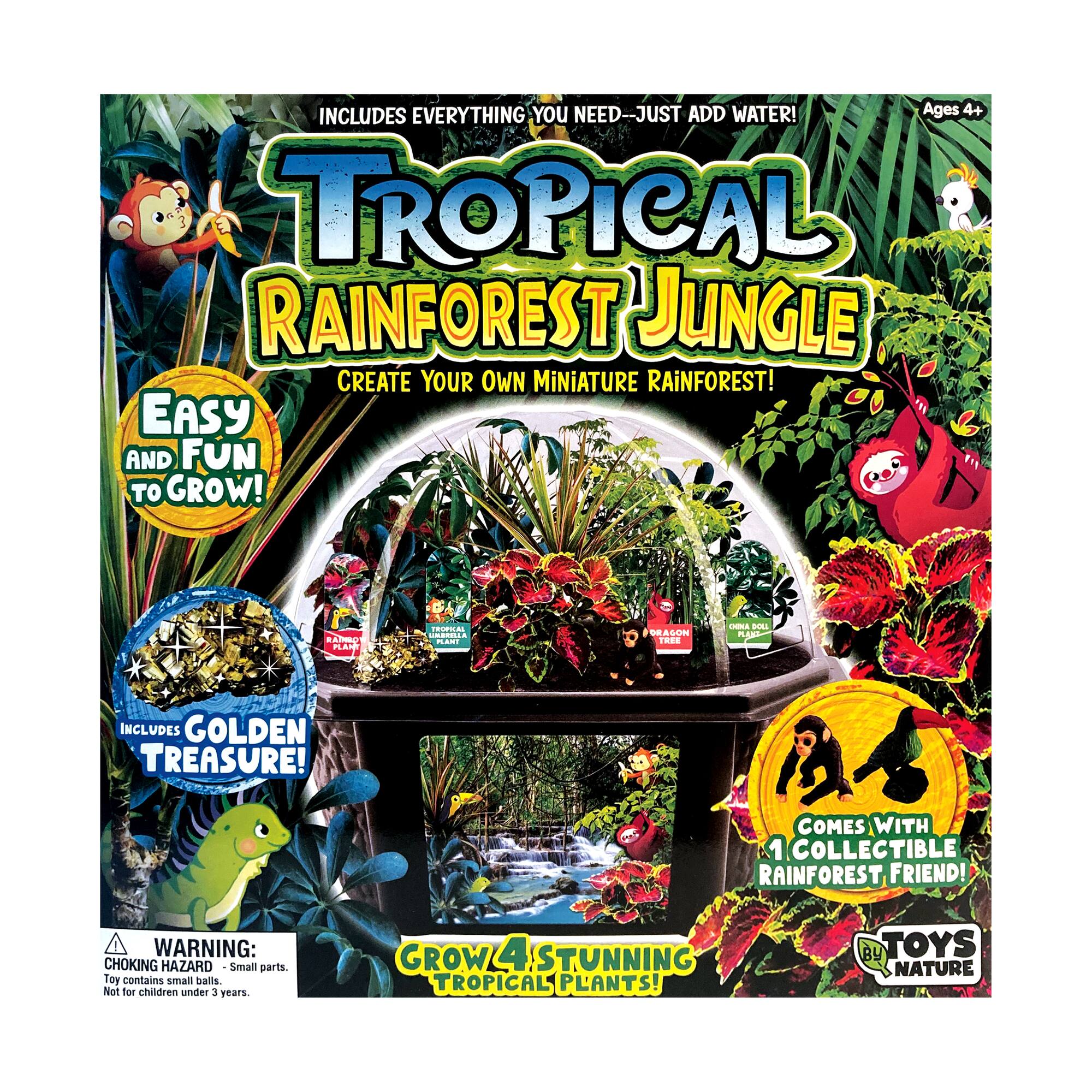 Biosphere Terrarium - Tropical Rainforest Jungle